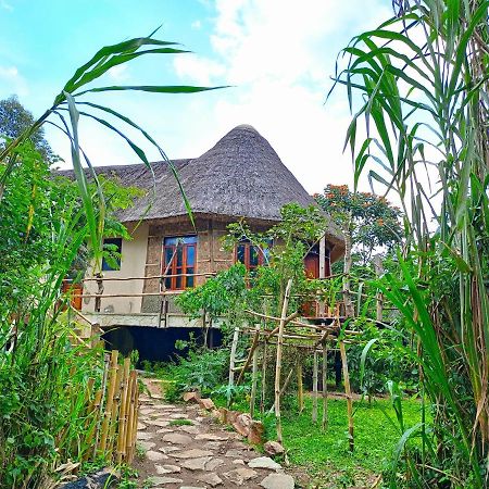 Chimpanzee Capital Safari Lodge Bigodi Esterno foto