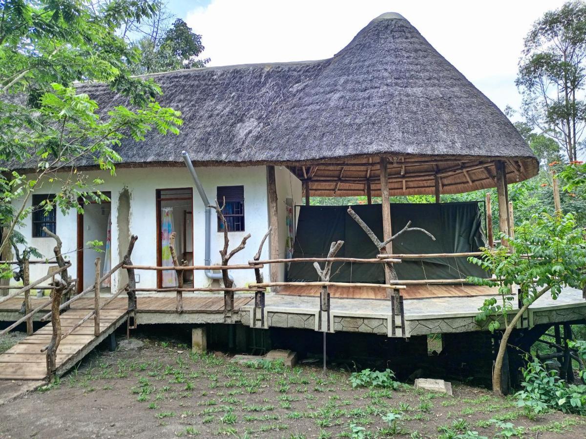 Chimpanzee Capital Safari Lodge Bigodi Esterno foto