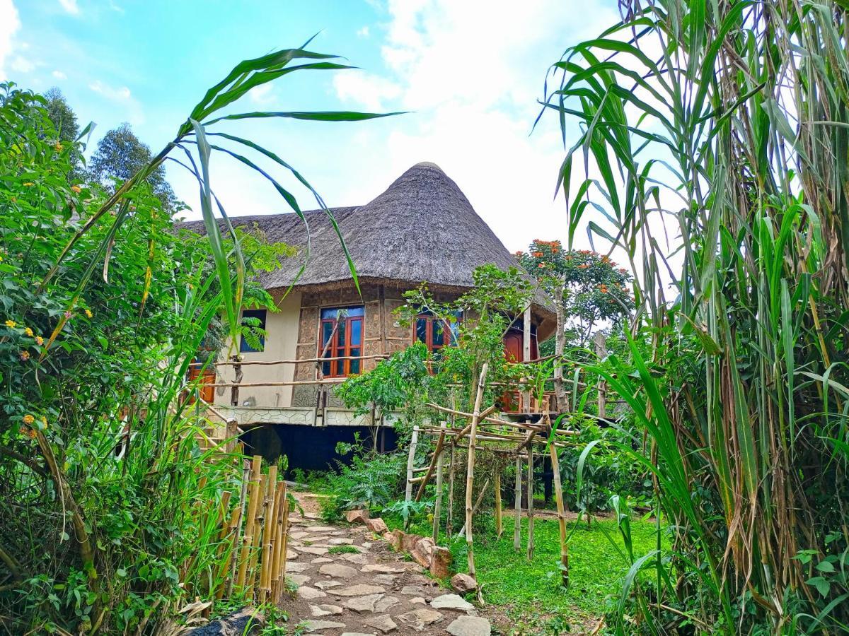 Chimpanzee Capital Safari Lodge Bigodi Esterno foto