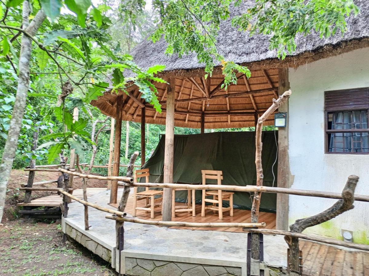 Chimpanzee Capital Safari Lodge Bigodi Esterno foto