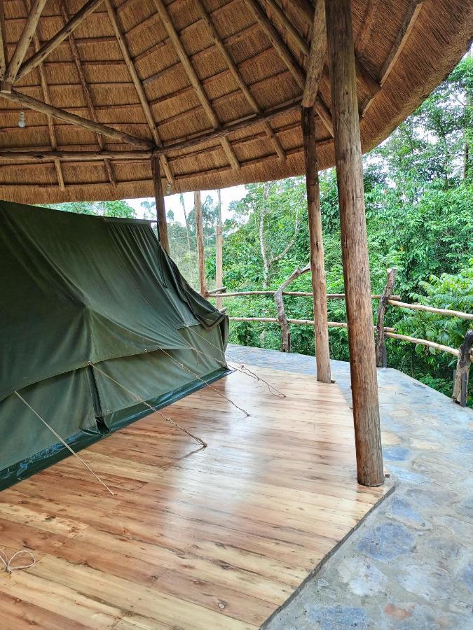 Chimpanzee Capital Safari Lodge Bigodi Esterno foto